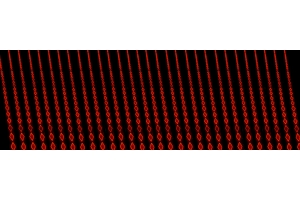 Indulging your home for the full Las Vegas feel