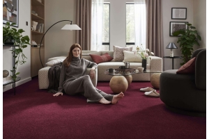 Introducing Snug Carpets