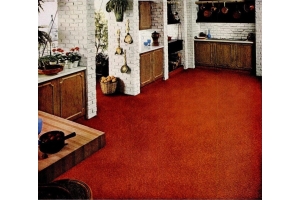 Carpet in the kitchen? Just no. 
