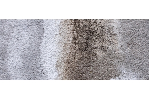 Can carpets get mould?