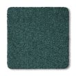Fir Green