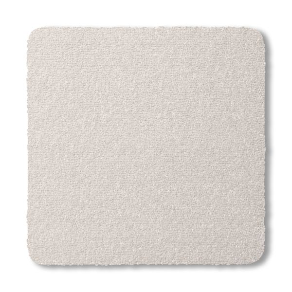 Prime - Sea Shell