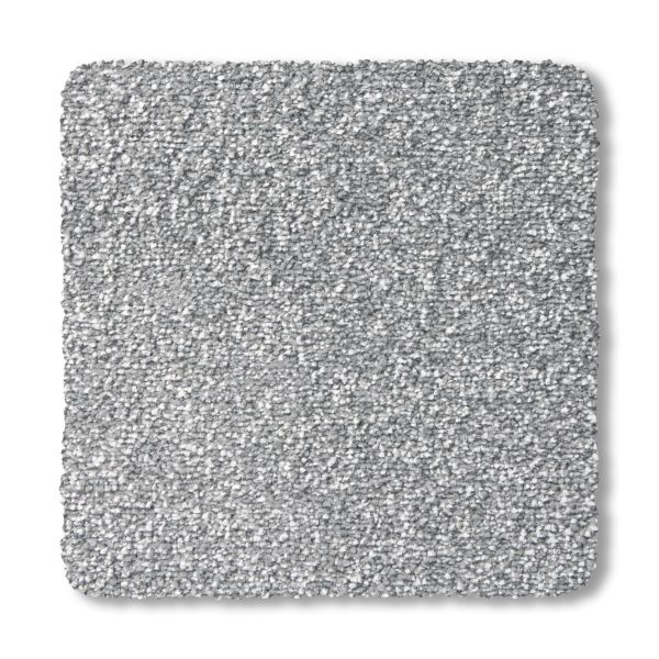 Premier - Carbon