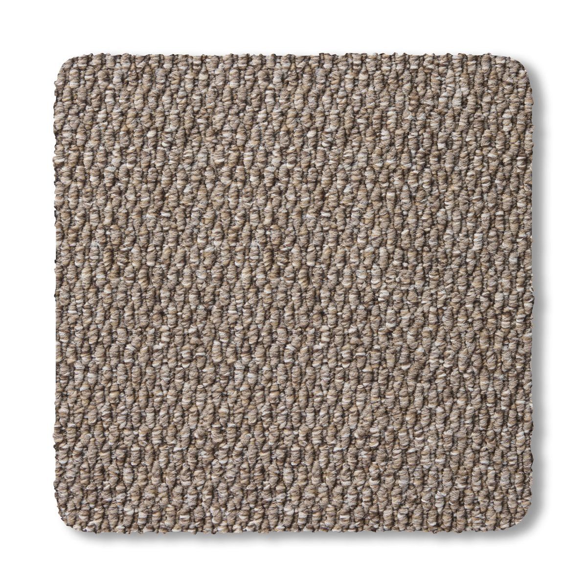 Elegance - Sepia 2