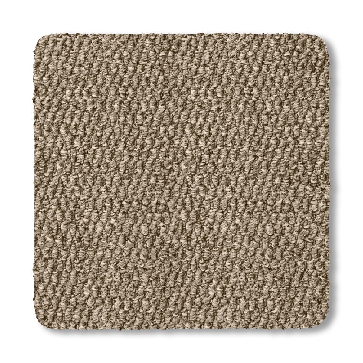 Elegance - Shifting Sands 2