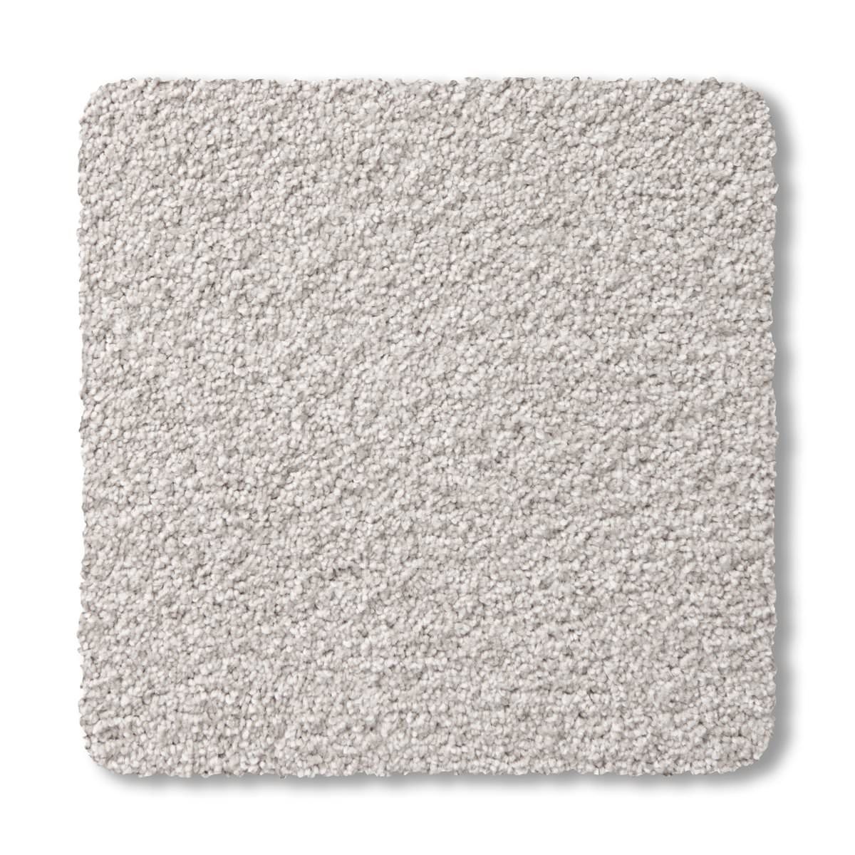 Plush - Linen 2