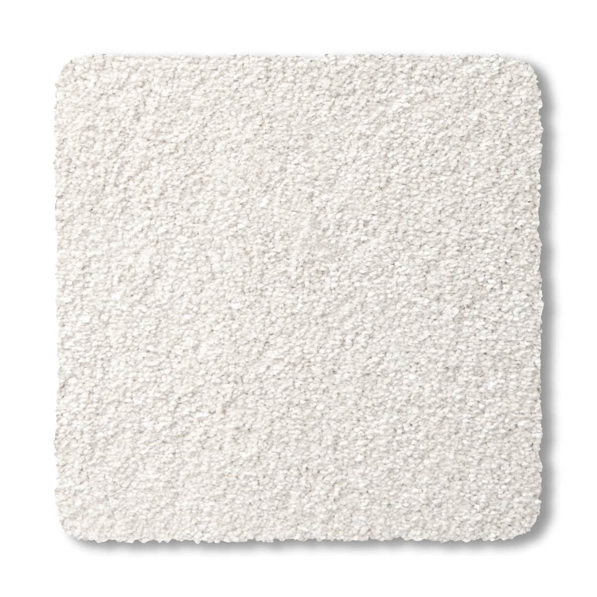 Premier - Chiffon 2
