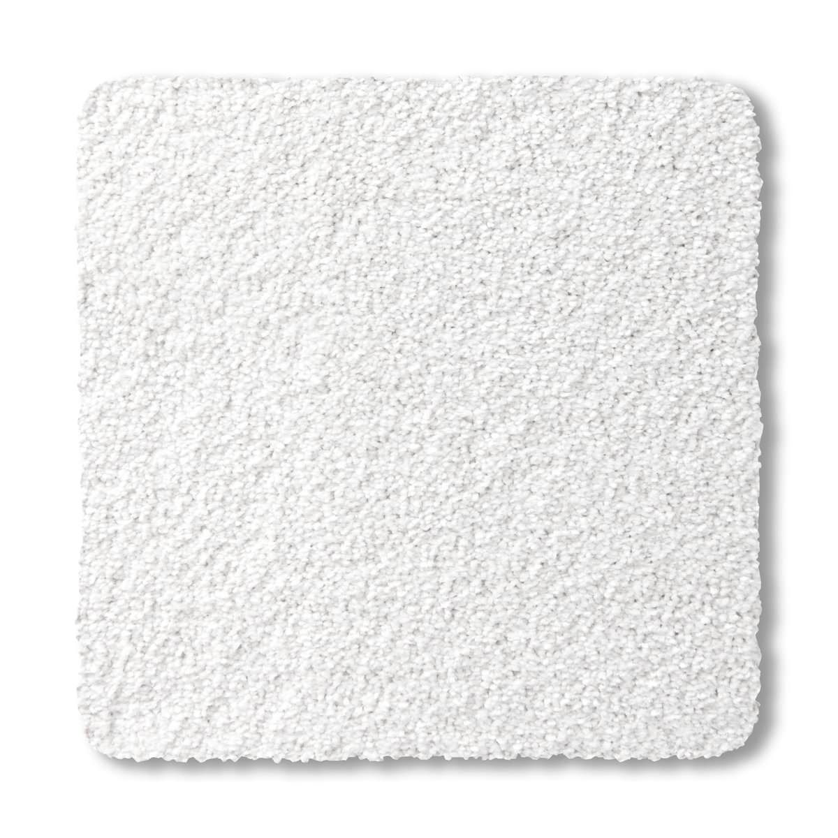 Premier - Snowdrop 2