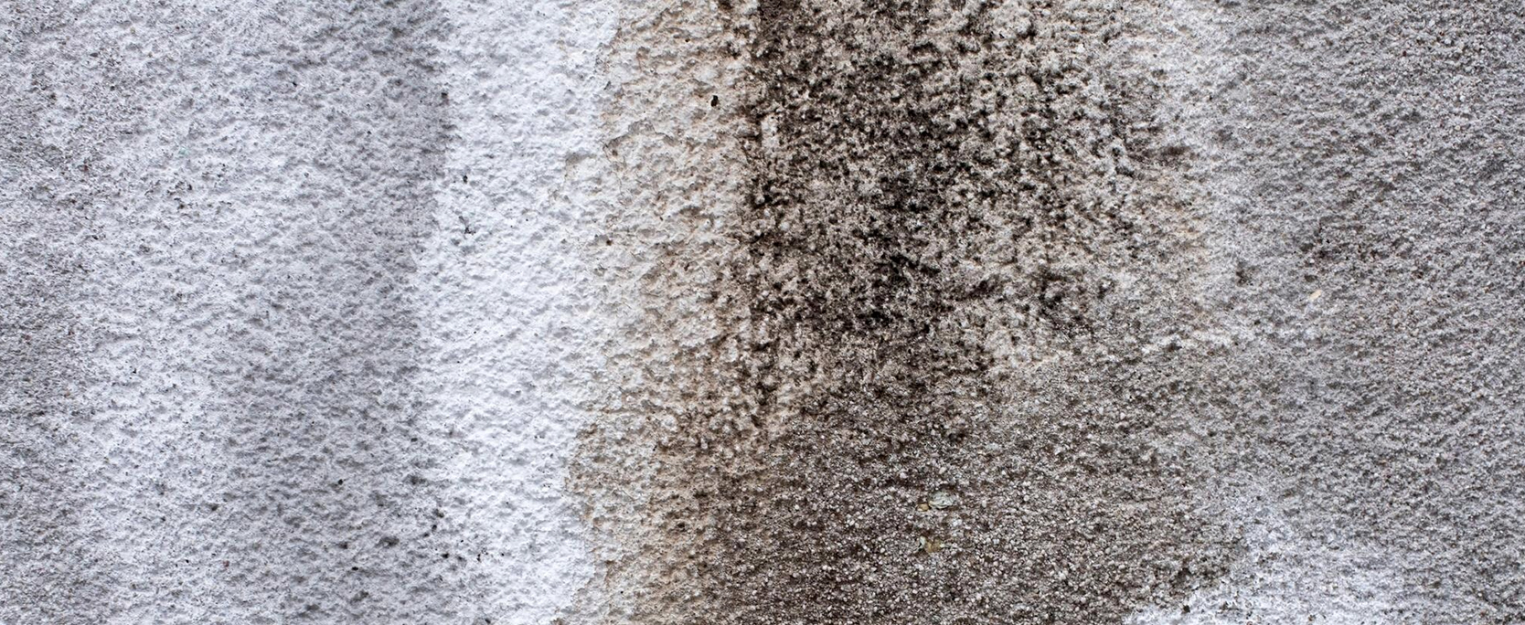 Can carpets get mould?