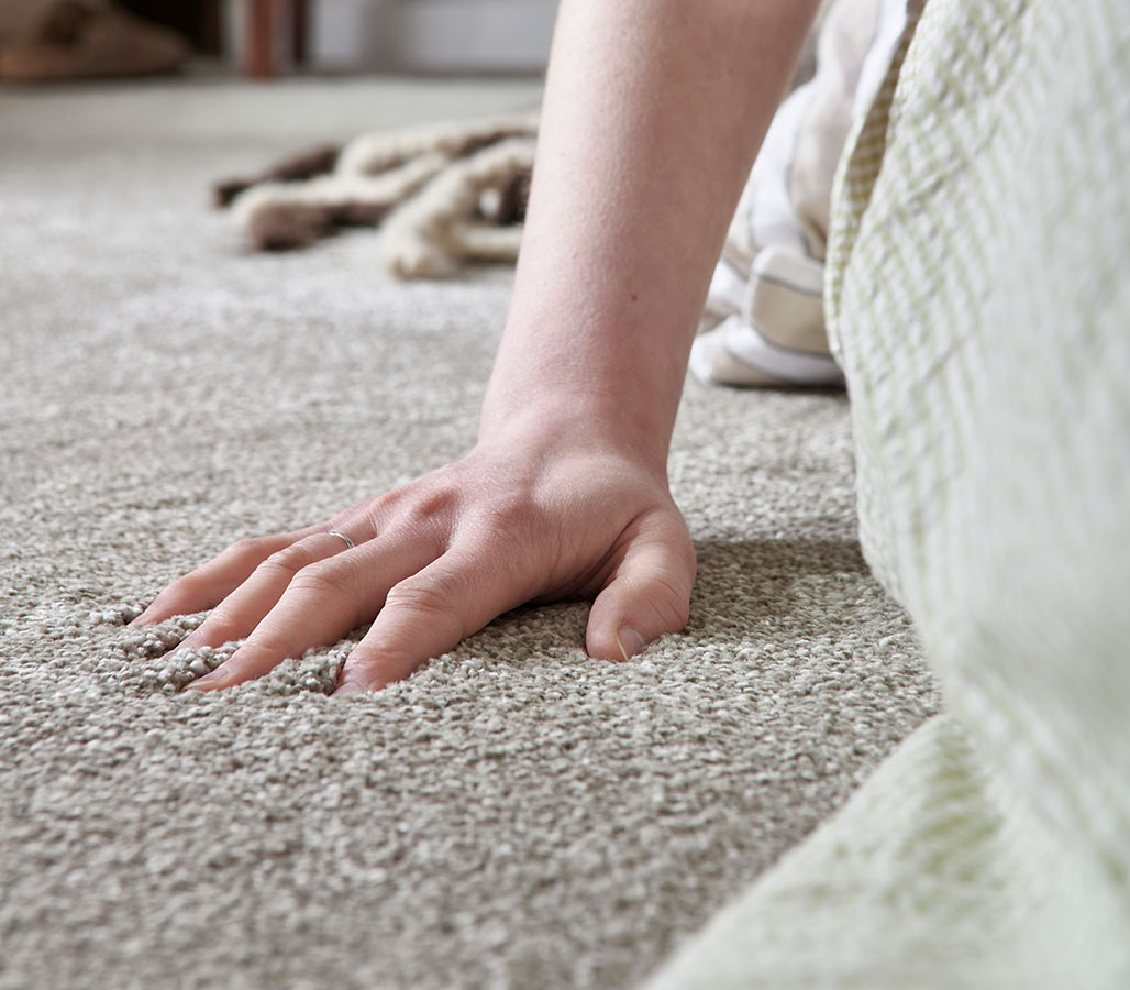 Saxony Pile Carpet