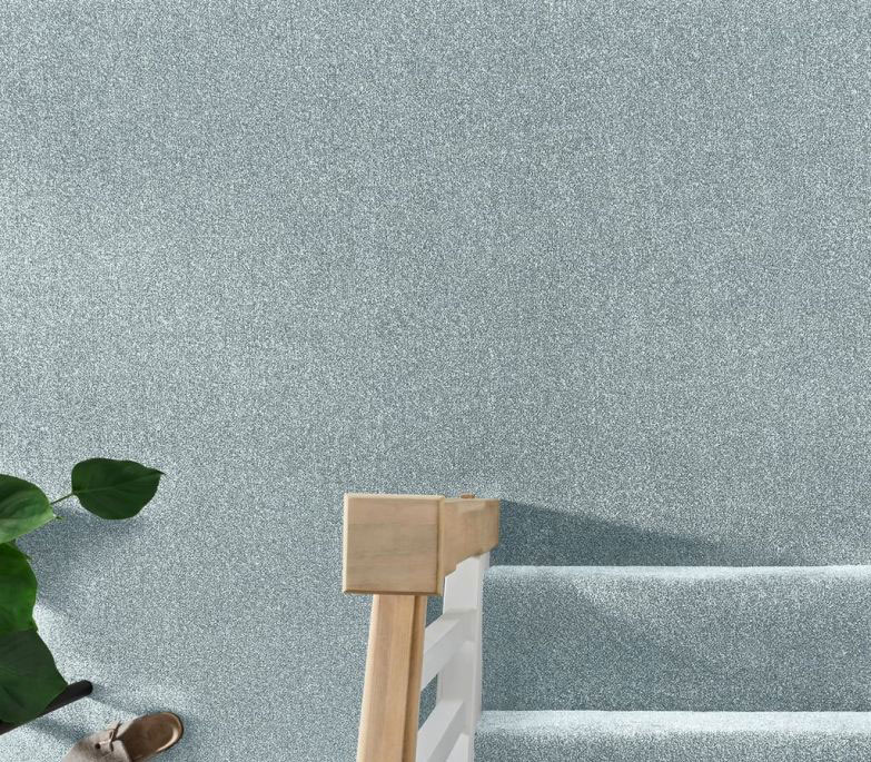 Blue Coloured Carpet