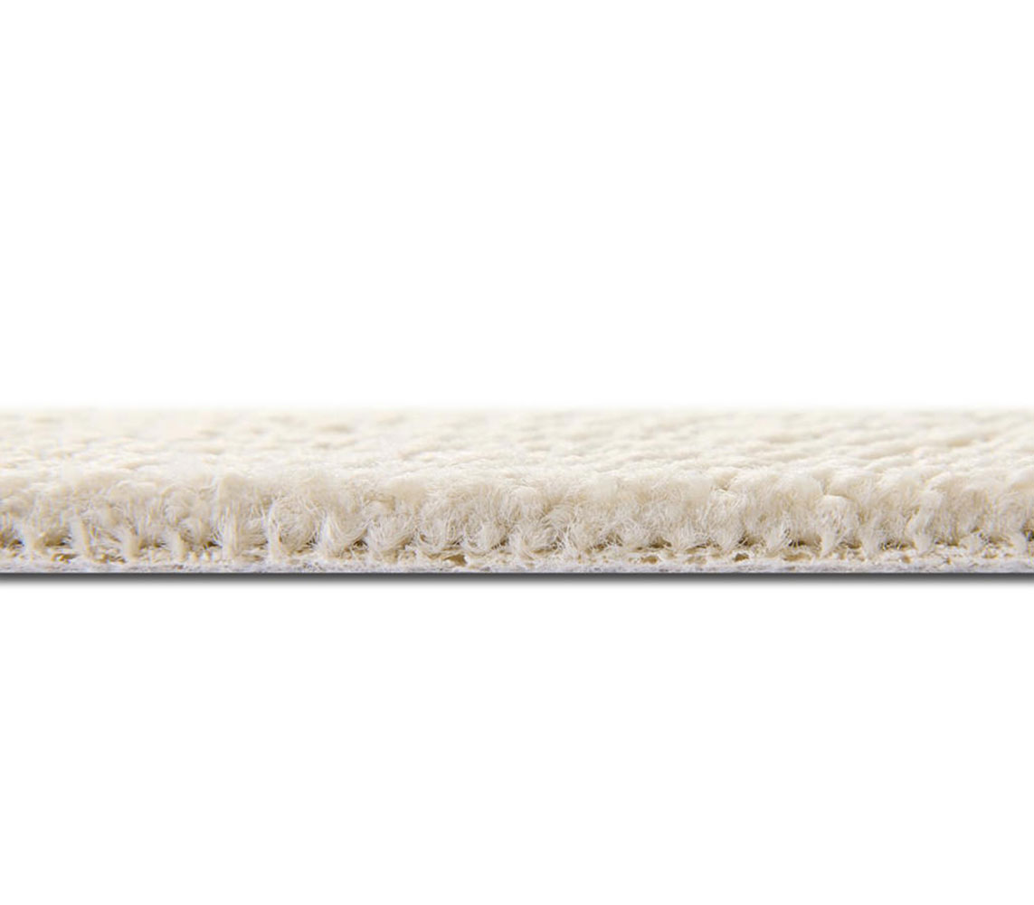 Low Pile Height Carpet